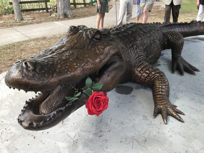 The Old Joe replica is pictured on Tuesday in Mount Dora. Old Joe was a legendary, record-setting alligator that patrolled the local lakes. He was rumored to have eaten small animals and even some livestock. [SUBMITTED]