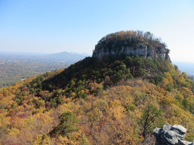 Pilot Mountain State Park [Contributed photo]