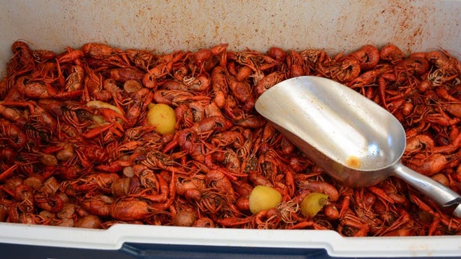 Cooked crawfish in a cooler during the 3rd Annual Micki and Mason Memorial Crawfish Boil and Washer Tournament Saturday at Red Rooster’s. Contributed by Megumi Rooze