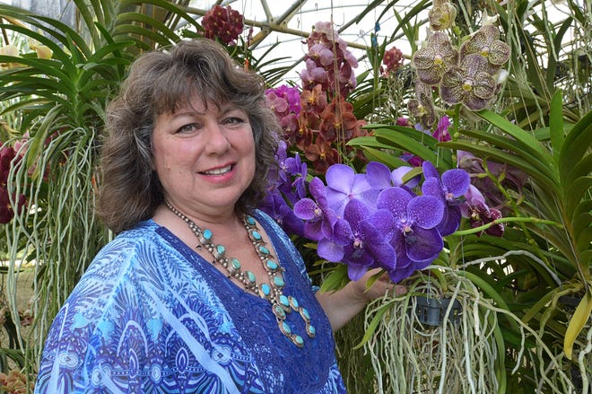 Donna Goodwin shows off some orchid plants in the greenhouse on her property in Leesburg. Goodwin and her husband would send Billy Graham the flowers. [Whitney Lehnecker/Daily Commercial]