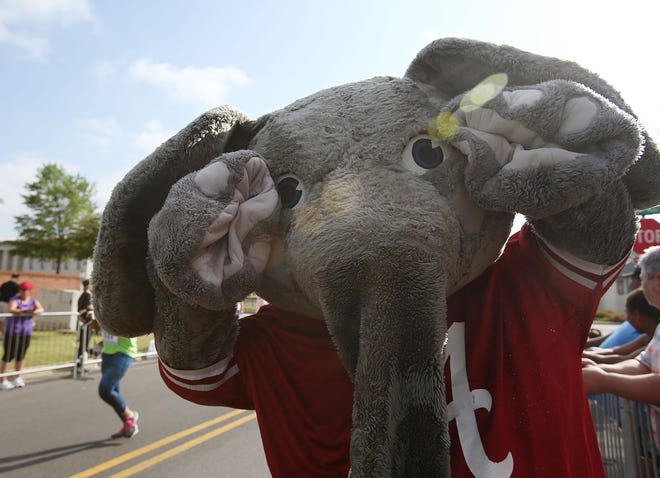Alabama mascot Big Al' waits to encourage runners to the finish line at the 11th annual Tuscaloosa Mayor's Cup at Government Plaza Saturday, April 29, 2017. [Staff Photo/Erin Nelson]