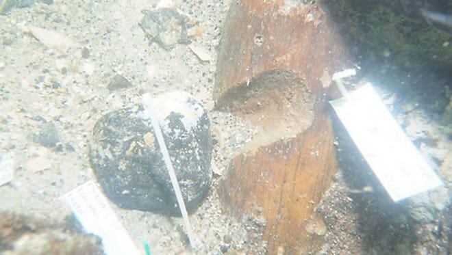 State officials say archeologists have located a 7,000-year-old Native American ancestral burial site in the Gulf of Mexico off the coast of Florida. [Photo is in the public domain/MyFlorida.com]