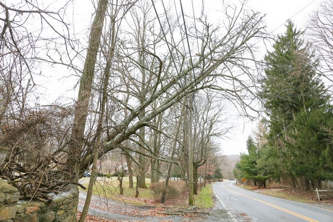 Power lines and trees fell due to the high wind gusts across Franklin County Friday. A tree was blown over and landed on telephone lines in the 14000 block of Charmian Road in Blue Ridge Summit. JOHN IRWIN/ THE RECORD HERALD