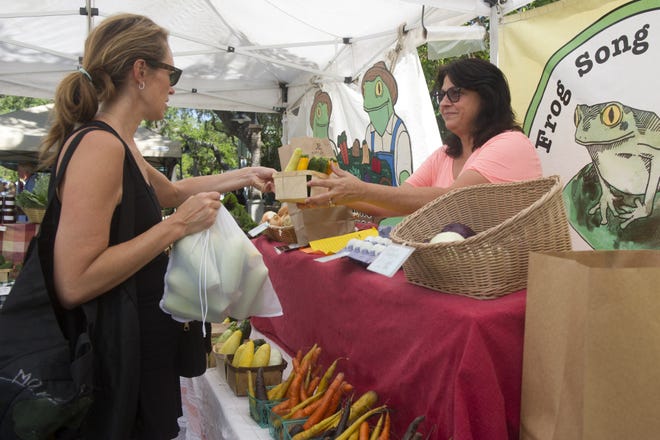 Lesha Corrigan of Frog Song Organics sells produce to shopper Toby Giallucka at the Old City Farmers Market at the St. Augustine Amphitheatre last year. Some major additions are coming to the market, some of which start with today's event. That includes the acceptance of — and matching the funds for — SNAP/EBT benefits. [CHRISTINA KELSO/THE RECORD]