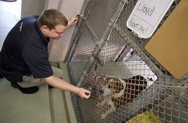 Matt Scott interacts with one of the dogs up for adoption at Gaston County Animal Care and Enforcement on Lesiure Lane in Dallas Tuesday afternoon, Feb. 27, 2018. [Mike Hensdill/The Gaston Gazette]