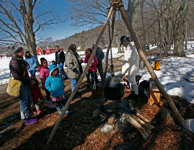 Families gather to see how maple syrup was produced over an open flam in the colonial era.


Maple Sugar Days at the DCR Brookwood Farm in Canton. The Dept. of Conservation and Recreations shows guests how maple sap from farm trees is boiled down to sweet maple syrup. There are also games and food for the kids as well as demonstrations.

Sunday March 29, 2015
Greg Derr/ The Patriot Ledger
