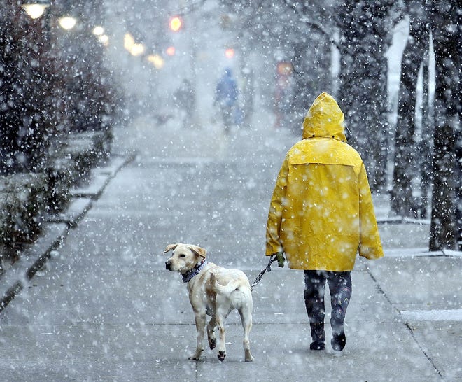 A woman walks her dog through heavy snow in Hoboken, N.J., Wednesday. [SETH WENIG/ASSOCIATED PRESS]