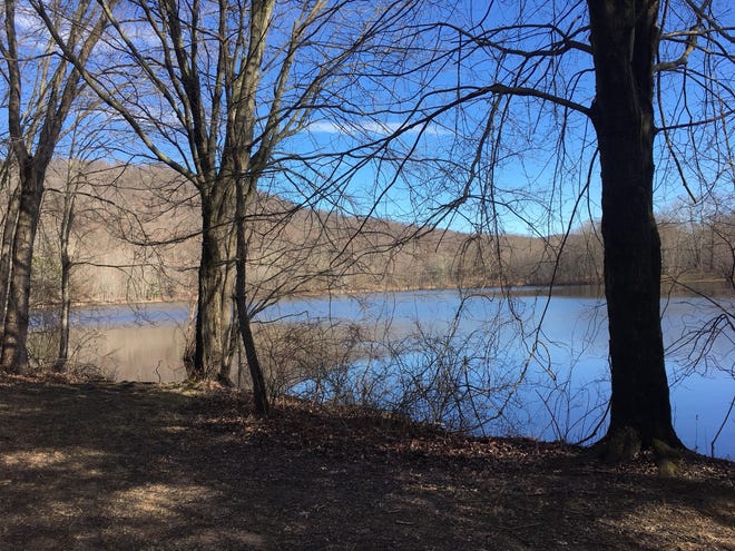 Ramapo Reservation in Bergen County, New Jersey [COURTESY OF SCOTT TURNER]