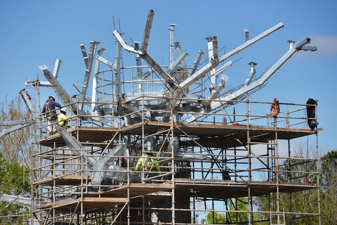 Construction continues this week at the top of what will be a replica of a 48-foot-tall tropical Kapok tree at the Jacksonville Zoo and Gardens. The tree is being built from steel, steel woven mesh and sprayed concrete, and will be a climbing structure for some great apes. [WILL DICKEY/FLORIDA TIMES-UNION]