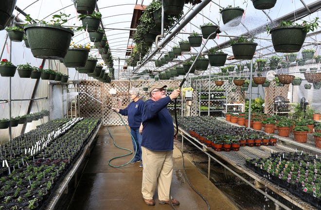 New Hope Greenhouse owner Wayne Childers, right, and Margaret McCray water plants in the greenhouse. Childers and his staff offer free workshops on Saturday mornings dealing with soil treatment, gardening, landscaping, etc, at the nursery located at 2703 Beaty Road in Gastonia. [JOHN CLARK/THE GASTON GAZETTE]