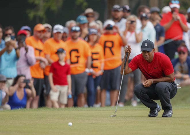 Tiger Woods didn't win at the Valspar Championship, but his return generated a big buzz among fans as well a big boost in TV ratings. [AP Photo/Mike Carlson]