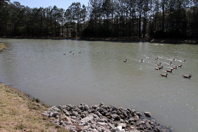 A retention pond near Camden Square Drive and Trent Village Drive is the scene where a body was found Saturday, March 10, 2018. [Gray Whitley / Sun Journal Staff]