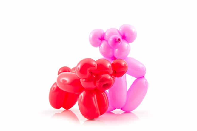Balloon animal of red pig and pink bear action pose on white background.