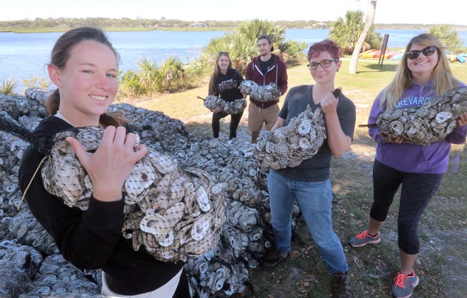 Students from the biology department at the University of Central Florida are preparing to begin a coastal restoration project at Tomoka State Park. Pictured from left are Briana McIntosh, Sophie Wild, volunteer Eric House, Carter Cook and Sara McGrory, who stacked bags of oyster shells on March 13 that they'd picked up from the Marine Discovery Center's Shuck and Share program. [News-Journal/David Tucker]