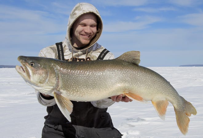 John Darwin of Iron River, Wis., shows off a 42-inch lake trout he caught in 120 feet of water in Lake Superior near Bayfield, Wis., on Feb. 26. It was one of several lake trout that he and friends caught that day. [Sam Cook/Duluth News Tribune]