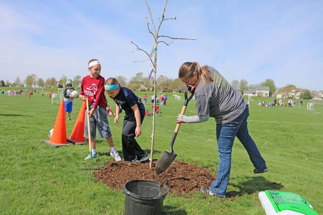 Mesa Worley (left) and Sally Worley (right) shovel dirt around a newly-planted tree while Jada Hennessy (middle) pats the dirt down. The Grimes Tree Board planted 29 trees at the Sports Complex on Saturday, April 22, 2017, Earth Day. PHOTO BY CLINT COLE/DALLAS COUNTY NEWS