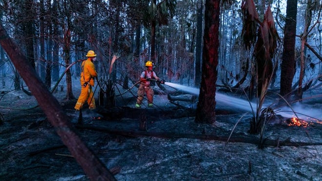 Palm Beach County Fire Rescue Reserve Battalion put out hot spots on a brush fire, near Pioneer Road and west of the Florida Turnpike, April 7, 2018, in suburban West Palm Beach, Florida. (Greg Lovett / The Palm Beach Post)