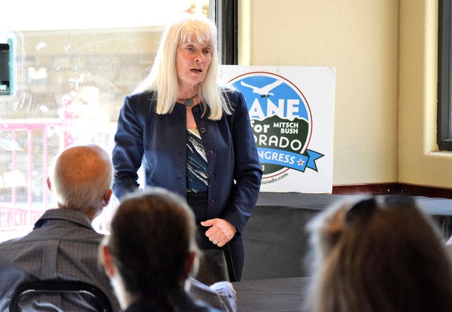 CHIEFTAIN PHOTO/ZACH HILLSTROM Diane Mitsch Bush speaks to a crowd at Angelo's Pizza in Pueblo Sunday. The Democrat is a candidate for the 3rd Congressional District.