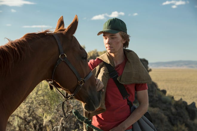 This image shows Charlie Plummer in a scene from the film, "Lean on Pete." [A24]