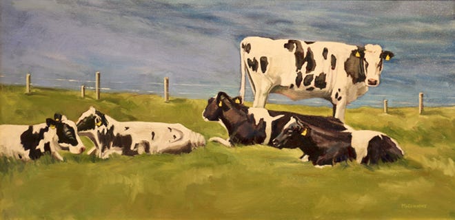 Almost all of Joan McConaghy's brushy oils on display in the Providence Art Club show focus on cows and sheep in the Irish countryside.