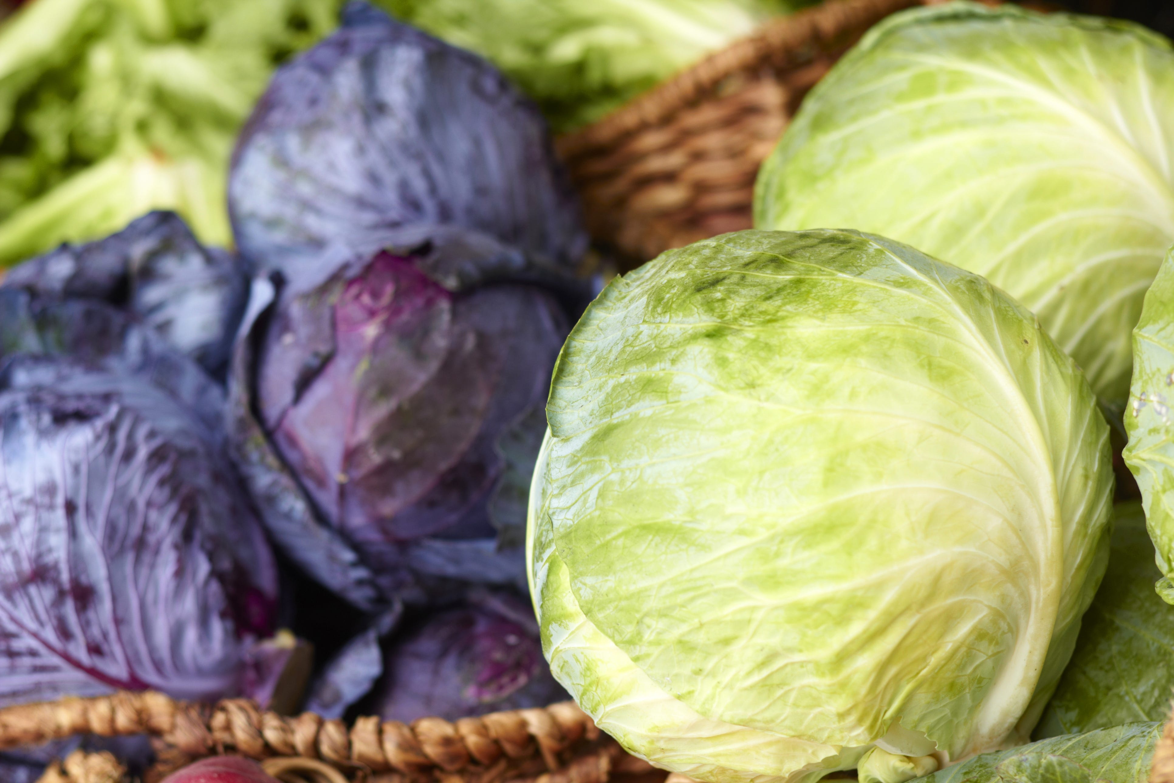 Exploring the myths surrounding cabbage