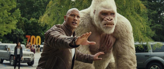 Davis Okoye (Dwayne Johnson) and George (Jason Liles), the albino gorilla