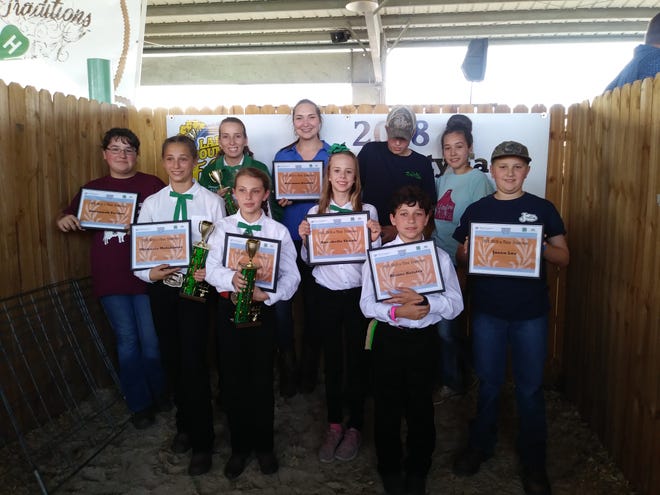 Lake County 4-H members showed off their animal science know-how by participating in all seven skill-a-thons offered at the 2018 Lake County Fair in Eustis. [SUBMITTED]