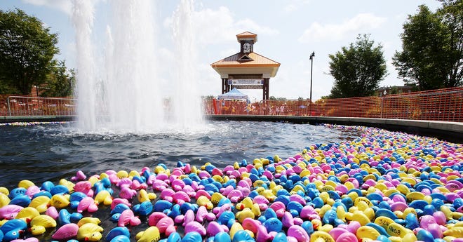 Plastic ducks float in the fountain at Government Plaza at the 10th annual Duck Derby fundraiser for the Children's Hands-on Museum held in downtown Tuscaloosa on July 30, 2016. This year's Duck Derby will be from 1-3 p.m. April 29 at Annette Shelby Park, 1614 15th St. [Staff Photo/Erin Nelson]