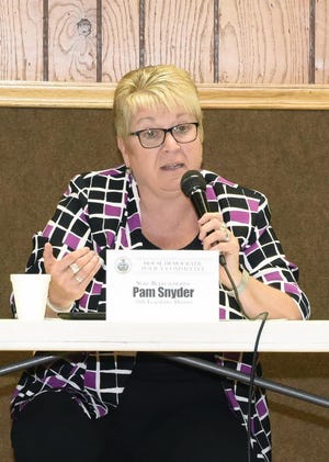 Greene County state Rep. Pam Snyder posted the Broadband Bills of Rights on her website last week before co-founding a House caucus to help press for legislation expanding high-speed internet access in rural and underserved areas in Pennsylvania. [Submitted]
