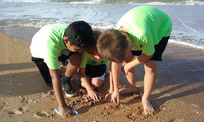 Old Kings Elementary fourth-graders Kavi Tulsian, John Ruddell and William Bradley, from left, were among the many students cleaning up Flagler Beach on Friday. [News-Tribune/Shaun Ryan]