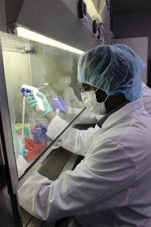 The laboratory at Enso Discoveries in Manhattan focuses on regenerative medicine for animals, using stem cell techniques and platelet rich plasma for treatments. Stem cell therapy commonly refers to the process of placing stem cells from the body into diseased or damaged tissues, such as a torn ligament in the knee or perhaps an arthritic joint, according to Enso's website. [Submitted]