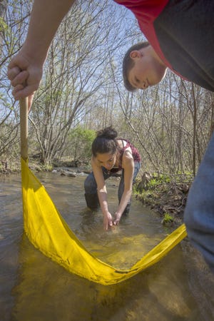 FOR MAIN CP PHOTO



Emily Garcia and Brendan Murphy, both 18, collect insects from Catharpin Creek near Haymarket, Virginia. They will enter their findings into a database to find out whether the stream is a good one to revive the brook trout, the freshwater fish symbol for Virginia. [Dayna Smith / The Washington Post photos]
