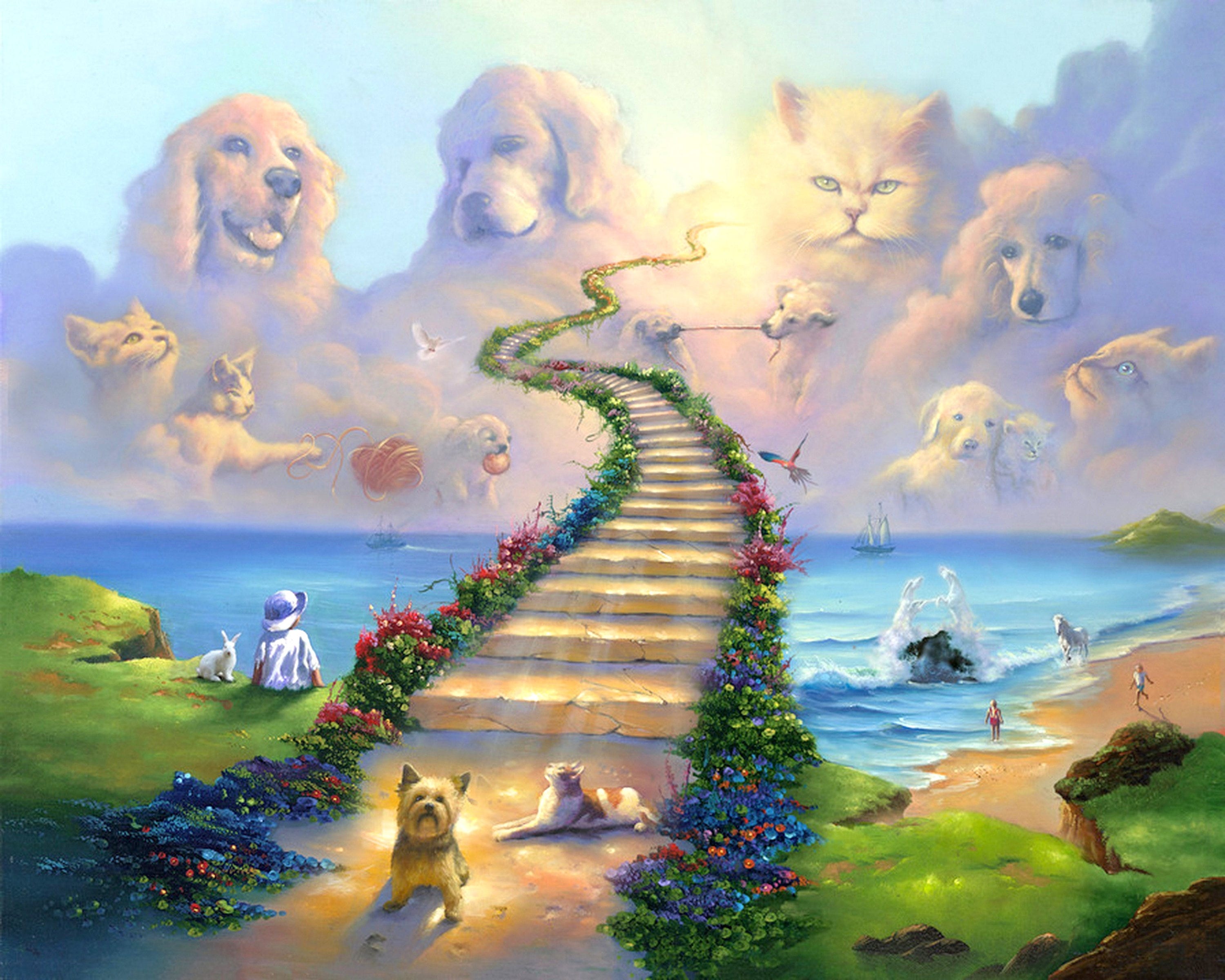 What is the rainbow bridge and why do we think dead pets cross it? What is the rainbow bridge and why do we think dead pets cross it?