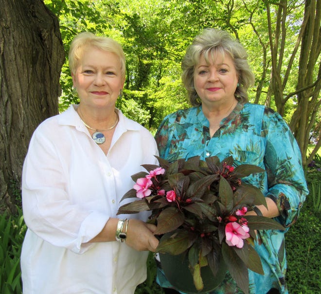 President-Elect of the Wonder City Garden Club Rita Joyner, on left, stands with current President Gayle Williams holding New Guinea impatiens outside of Weston Manor in Hopewell on May 8, 2018. The club's annual plant sale is scheduled for this Saturday at the manor. [Kate Gibson/progress-index.com]