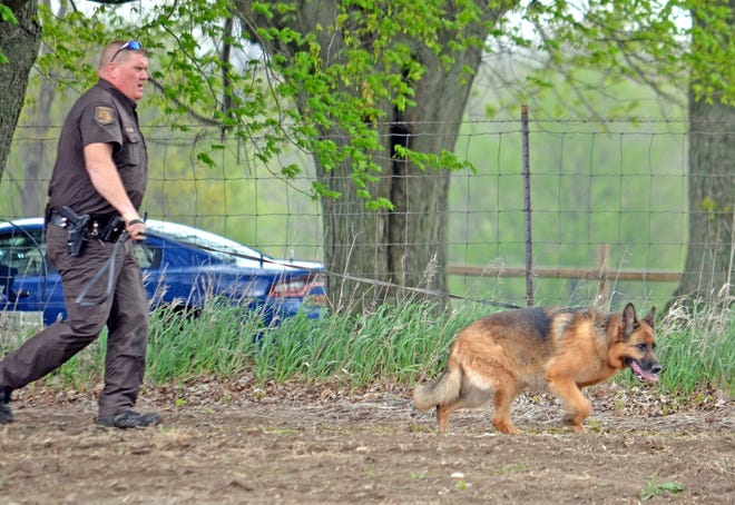 Deputy Fleming and K-9 Angie search for a woman who fled from a car on I-69 Thursday. Don Reid Photo