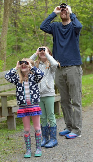 WORCESTER - David Mitchell of Worcester and his daughters, Lucy, 7, left, and Anna, 9, look high up into the treetops Saturday at Broad Meadow Brook Conservation Center and Wildlife Sanctuary during the 

during the Massachusetts Audubon Society Bird-a-thon. Since the annual event began in 1983, thousands of participants have raised over $3 million for Mass Audubon. Teams compete to spot as many bird species as they can in a 24-hour period. [T&G Staff/Steve Lanava]