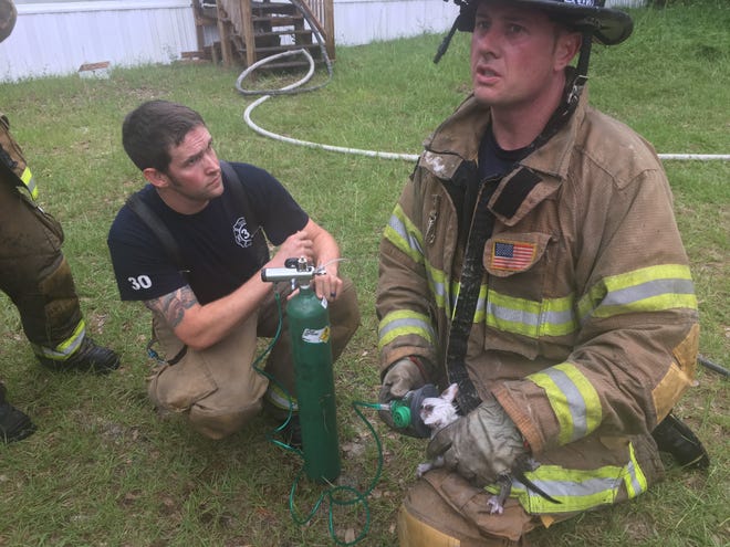 A Marion County firefighter administers oxygen to a kitten rescued from a burning home Monday in Summerfield. [Marion County Fire Rescue}