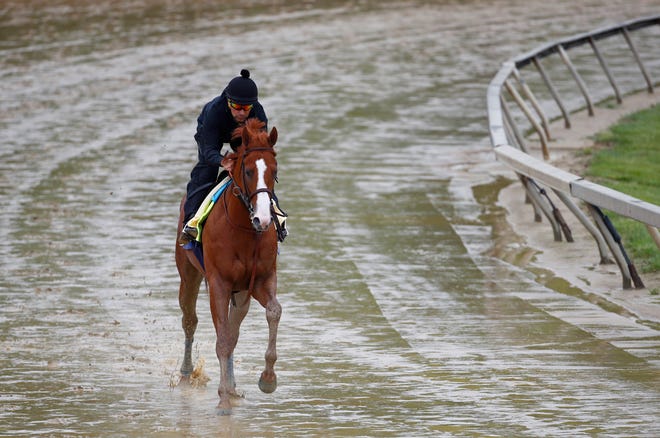 Kentucky Derby winner Justify, with exercise rider Humberto Gomez aboard, gallops around the track, Thursday, May 17, 2018, at Pimlico Race Course in Baltimore. The Preakness Stakes horse race is scheduled to take place Saturday, May 19. (AP Photo/Patrick Semansky)