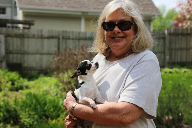 Linda Urbelis, a foster parent for the nonprofit C.A.R.E. for P.E.T.S., is currently fostering Jordy, a 4-pound Chihuahua whose owner is undergoing cancer treatment. Urbelis said she was surprised how many pets are in need in Winnebago County. [KIMBERLY WATLEY/RRSTAR.COM]