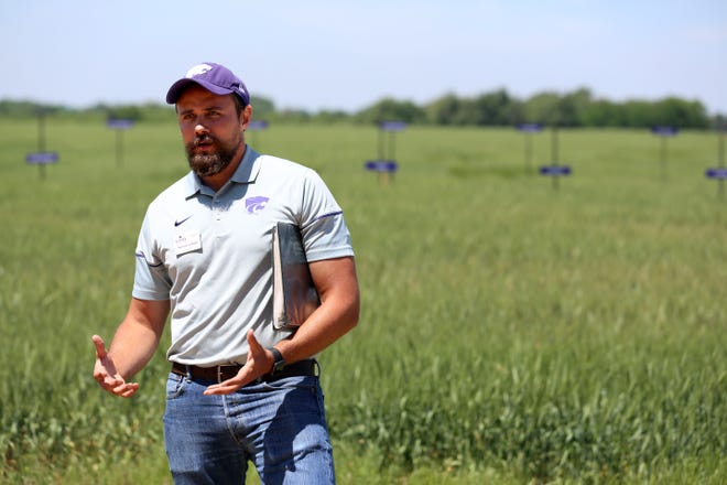 Dr. Romulo Lollato, agronomist with Kansas State University, talks about the growing conditions and moisture and during the Reno County wheat tour Monday, May 21, 2018 near Haven. [Travis Morisse/HutchNews]