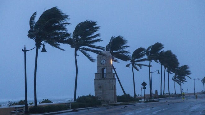 Winds from Hurricane Irma hit the area Sunday, Sept. 10, 2017. (Lannis Waters/Daily News)