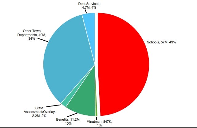 Pie chart of the town expenditure summary for FY'10. [COURTESY PHOTO]