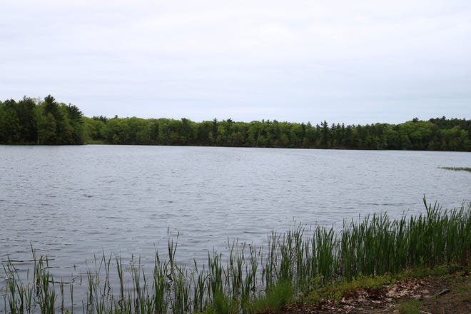Acquisition of land in Princeton will help the city of Worcester protect the drinking water supply in Quinapoxet Reservoir in Holden, pictured. [File Photo/Jessica Picard]