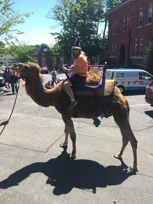Belmont resident Sam Widdison rode a camel at last year's Town Day. [WICKED LOCAL PHOTO/HOPE KELLY]