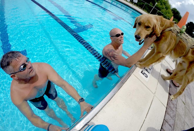 Jay McManus’ therapy dog, Phoenix, checks on McManus and Rob Fry, left, as they train for the Warrior Games recently at Destin Aquatic Center. [NICK TOMECEK/DAILY NEWS]
