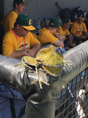 A1 PHOTO



The Crest High School baseball team gears up for the 2018 N.C. 3A Championship game Friday with their unofficial mascot and good luck charm, the frog. [Special to The Star]