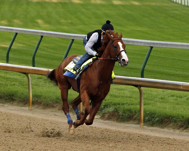 Justify can become the first Triple Crown winner since 2015 with a victory Saturday in the Belmont Stakes. [AP Photo/Garry Jones]