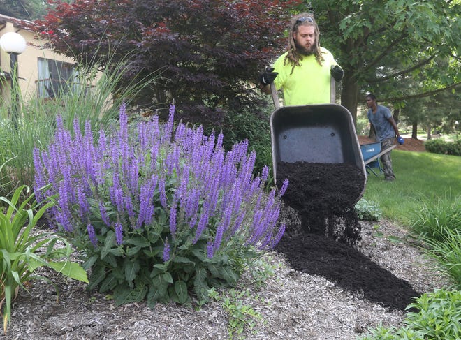 Holden Roddy, a member of the landscaping crew from Impact Landscaping & Maintenance mulches at the Silver Valey Condo Association in Munroe Falls.