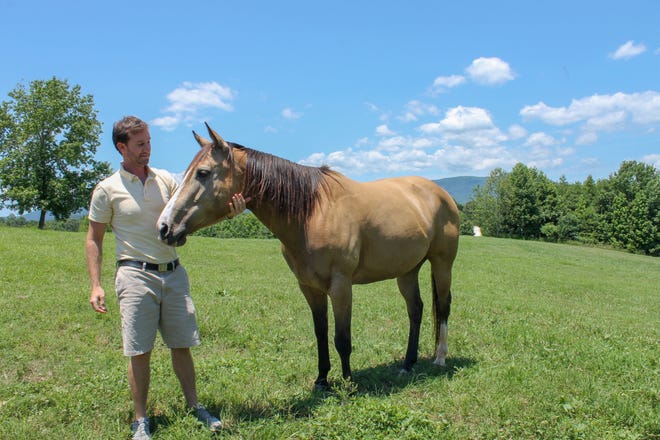 Christian Wolters, owner of the Red Horse Inn in Landrum, SC, with Secret, a descendant of Secretariat who lives at the inn. [SAMANTHA SWANN/SPARTANBURG HERALD-JOURNAL]