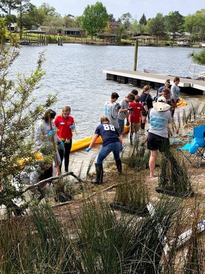 Bozeman School Students participate in the 'Bay Grasses in Classes' program complete installation of a living shoreline at John Gore park in Callaway. [L. SCOTT JACKSON/CONTRIBUTED PHOTO]
